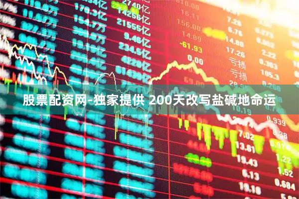 股票配资网-独家提供 200天改写盐碱地命运